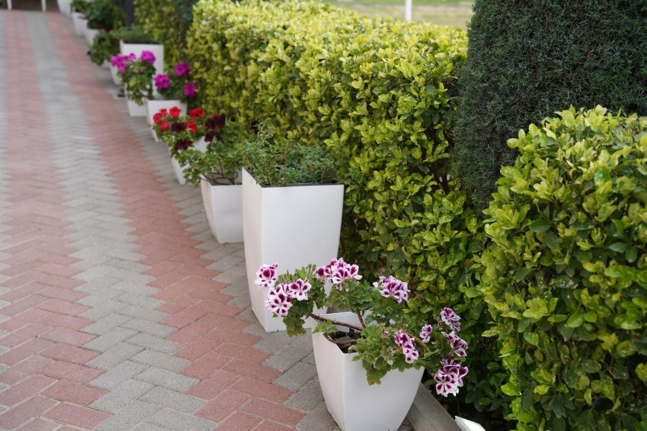Velipojë Apartments Costa Azzurra מראה חיצוני תמונה